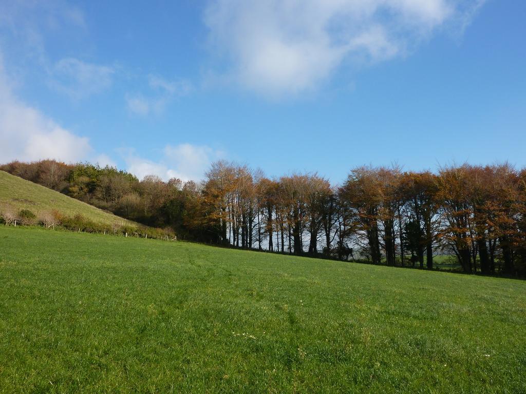 Higher Melcombe Manor Ansty  Bagian luar foto