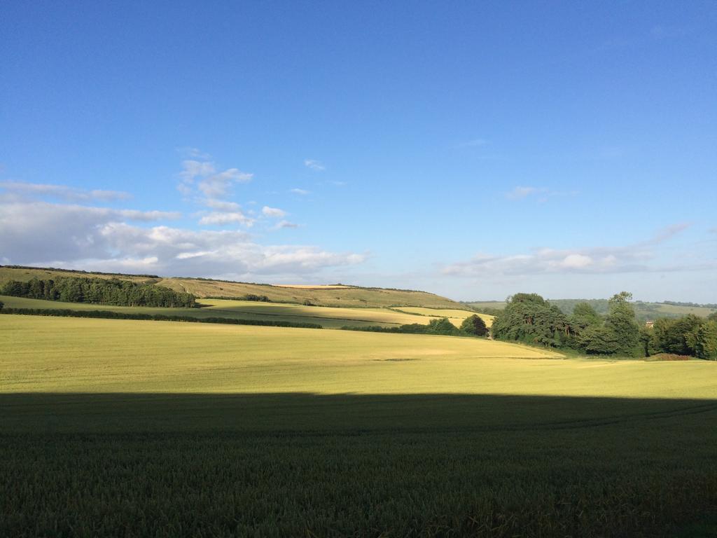 Higher Melcombe Manor Ansty  Bagian luar foto